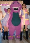 BARNEY!!!